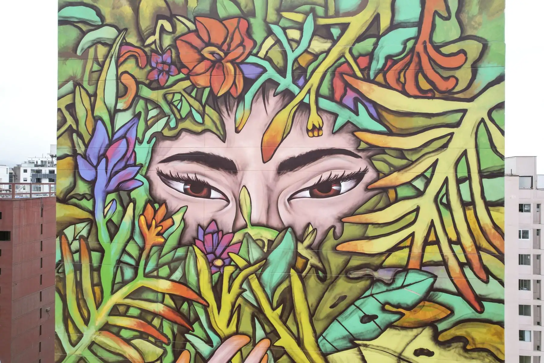 Murales pintados por artistas urbanos se exhiben en paredes de edificios y casas de Miraflores. Los jóvenes artistas imponen sus coloridas obras en paredes que anteriormente lucían vacías. Foto: ANDINA/Jhonel Rodríguez Robles