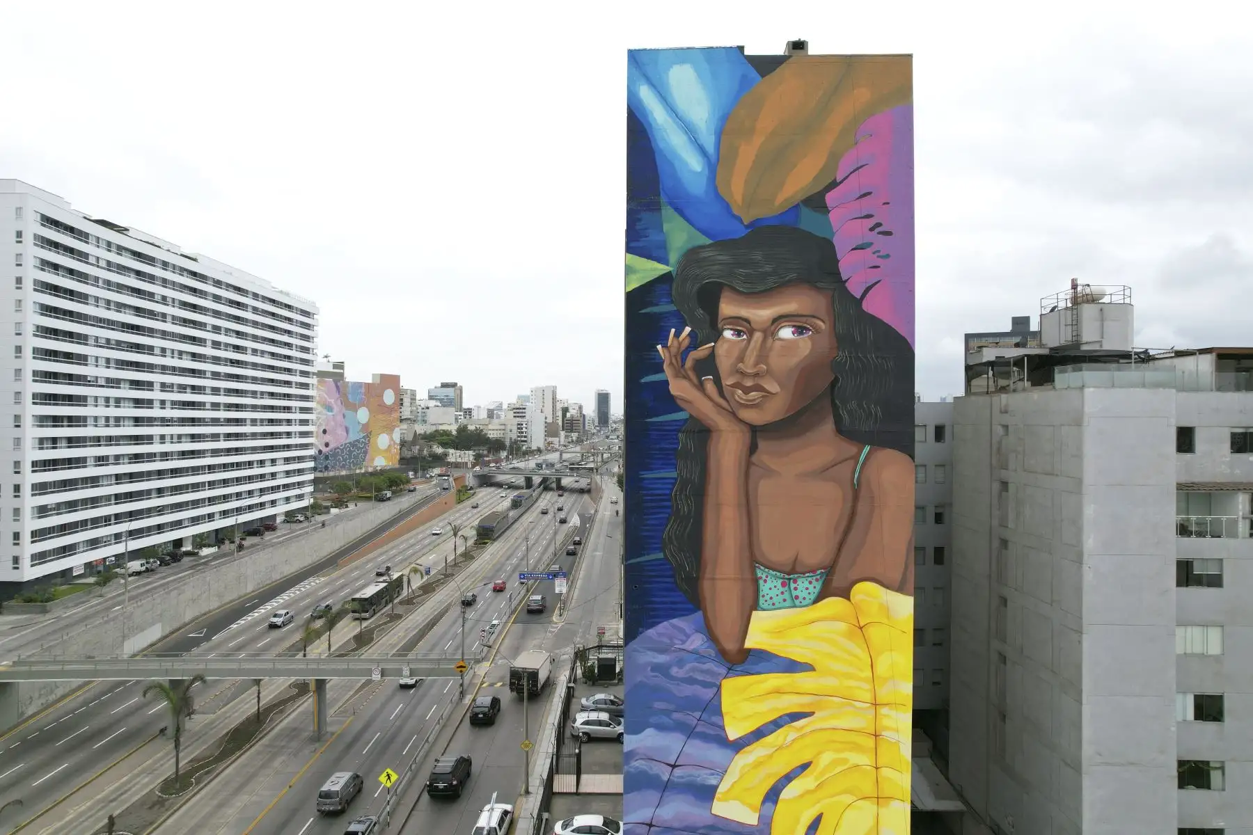 Murales pintados por artistas urbanos se exhiben en paredes de edificios y casas de Miraflores. Los jóvenes artistas imponen sus coloridas obras en paredes que anteriormente lucían vacías. Foto: ANDINA/Jhonel Rodríguez Robles
