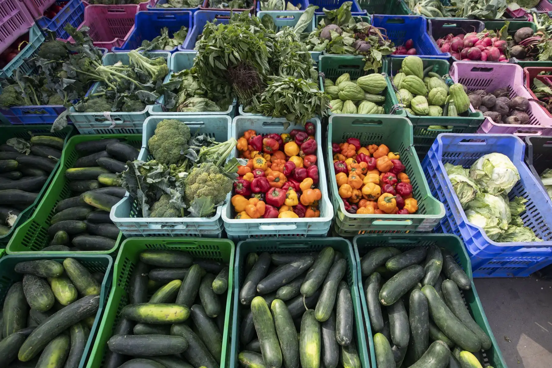 La Municipalidad de Lima a través de la Empresa Municipal de Mercados S.A., y los comerciantes del Gran Mercado Mayorista de Lima, elaboraron la canasta de Año Nuevo, de productos perecibles más grande de la capital (diez toneladas), que se entregó a los representantes de varias ollas comunes que participan del programa municipal “Manos a la Olla”. Foto: ANDINA/Carla Patiño