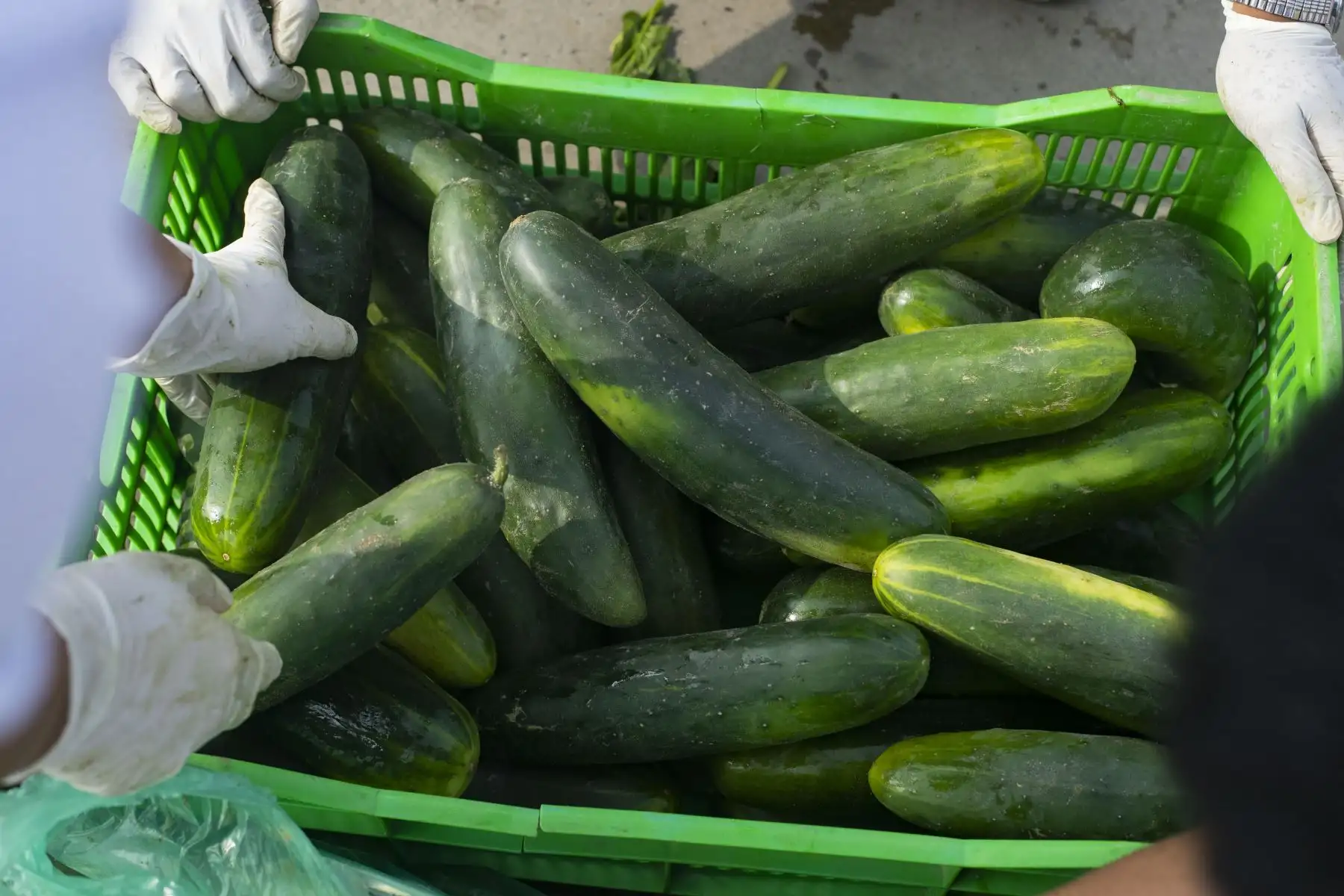 La Municipalidad de Lima a través de la Empresa Municipal de Mercados S.A., y los comerciantes del Gran Mercado Mayorista de Lima, elaboraron la canasta de Año Nuevo, de productos perecibles más grande de la capital (diez toneladas), que se entregó a los representantes de varias ollas comunes que participan del programa municipal “Manos a la Olla”. Foto: ANDINA/Carla Patiño