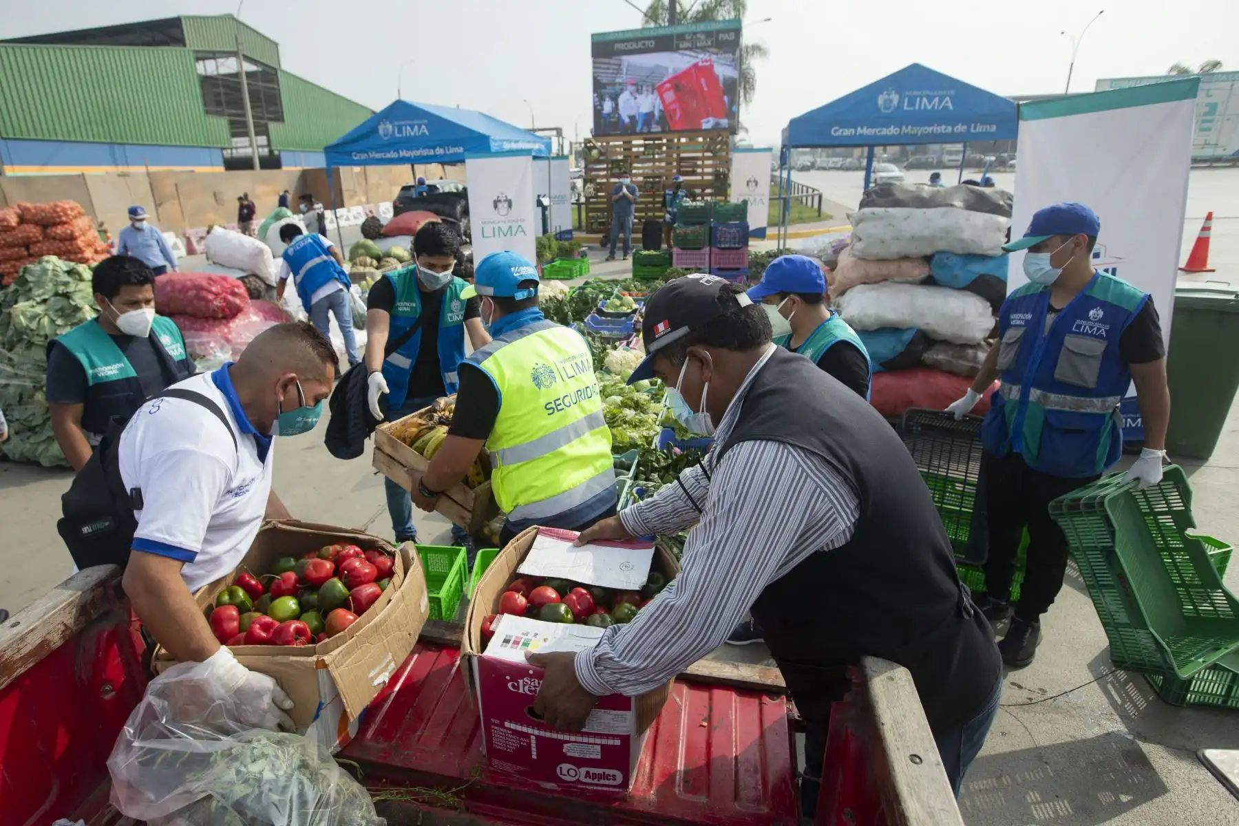 La Municipalidad de Lima a través de la Empresa Municipal de Mercados S.A., y los comerciantes del Gran Mercado Mayorista de Lima, elaboraron la canasta de Año Nuevo, de productos perecibles más grande de la capital (diez toneladas), que se entregó a los representantes de varias ollas comunes que participan del programa municipal “Manos a la Olla”. Foto: ANDINA/Carla Patiño
