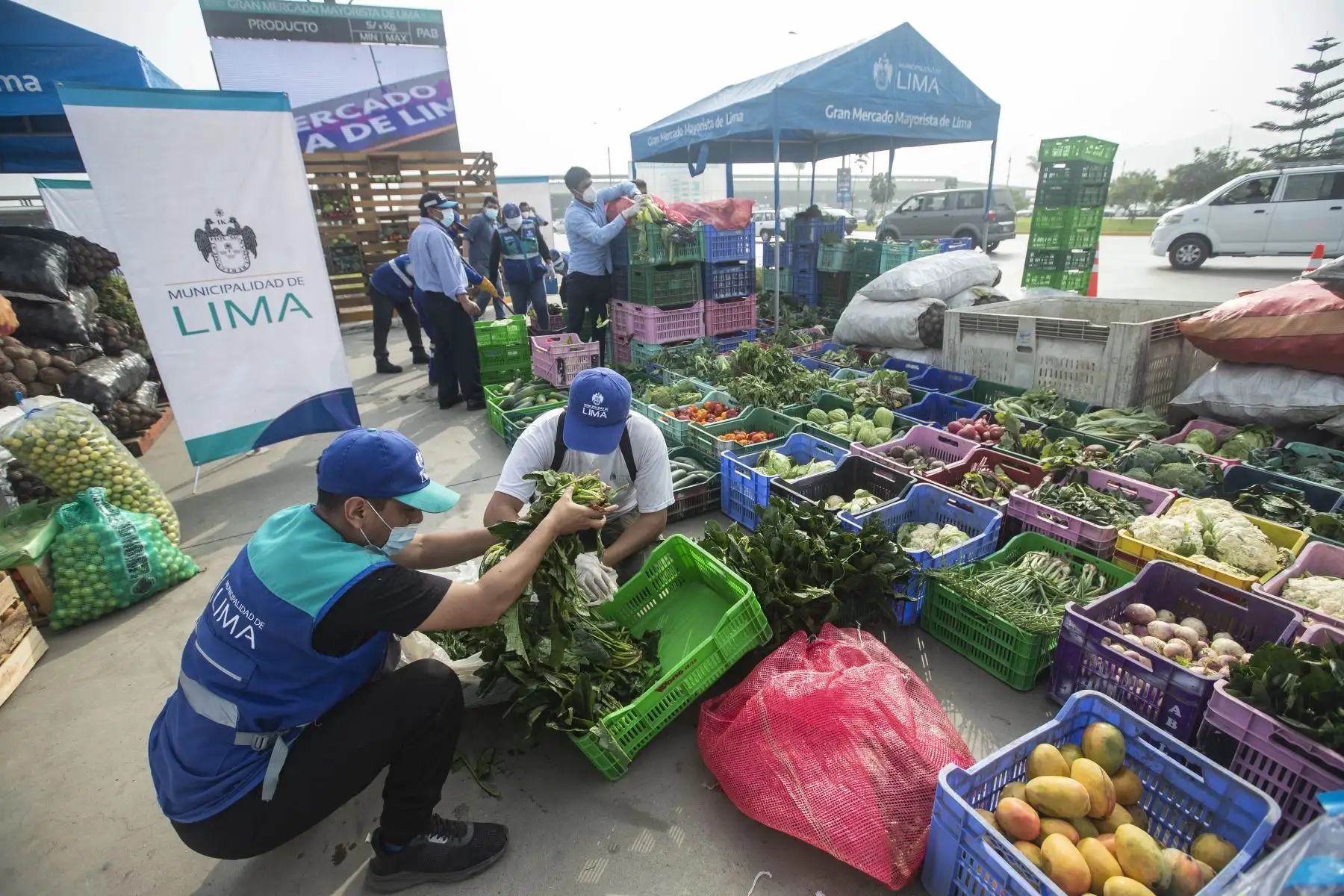 La Municipalidad de Lima a través de la Empresa Municipal de Mercados S.A., y los comerciantes del Gran Mercado Mayorista de Lima, elaboraron la canasta de Año Nuevo, de productos perecibles más grande de la capital (diez toneladas), que se entregó a los representantes de varias ollas comunes que participan del programa municipal “Manos a la Olla”. Foto: ANDINA/Carla Patiño