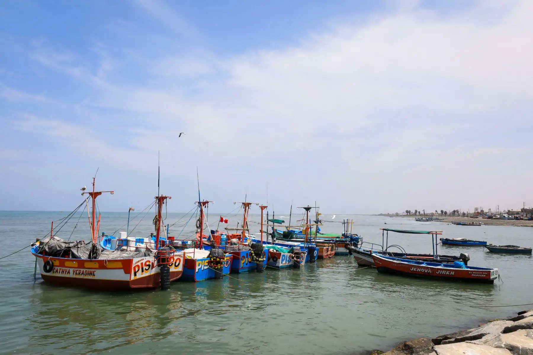 El ministro de la Producción, Jorge Luis Prado, realizó una visita al Desembarcadero Pesquero Artesanal La Puntilla, en Paracas, a fin de supervisar la infraestructura pesquera y los servicios que brinda a los pescadores de la localidad.
Foto: Produce
