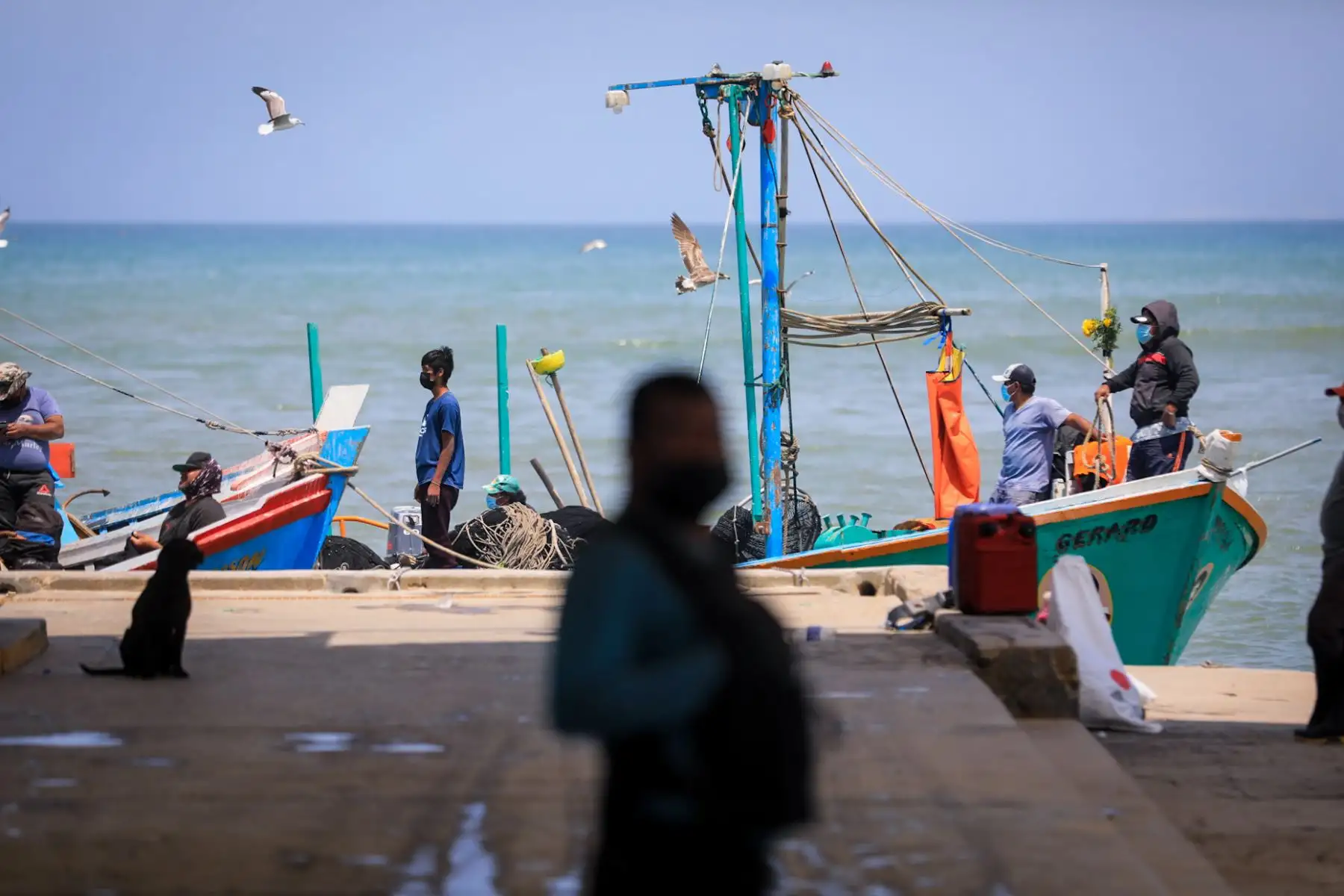 El ministro de la Producción, Jorge Luis Prado, realizó una visita al Desembarcadero Pesquero Artesanal La Puntilla, en Paracas, a fin de supervisar la infraestructura pesquera y los servicios que brinda a los pescadores de la localidad.
Foto: Produce