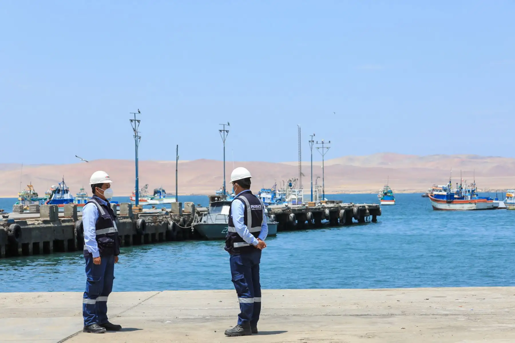 El ministro de la Producción, Jorge Luis Prado, realizó una visita al Desembarcadero Pesquero Artesanal La Puntilla, en Paracas, a fin de supervisar la infraestructura pesquera y los servicios que brinda a los pescadores de la localidad.
Foto: Produce