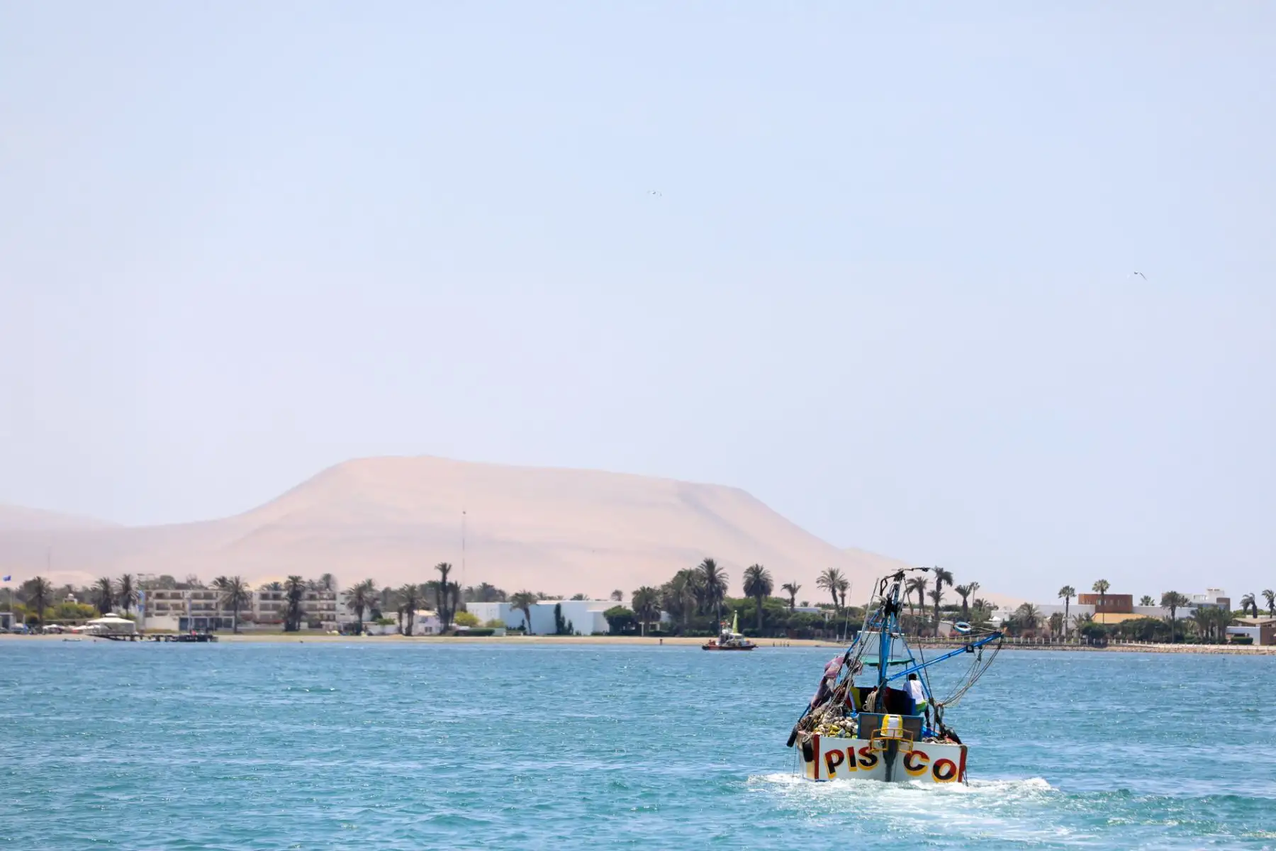 El ministro de la Producción, Jorge Luis Prado, realizó una visita al Desembarcadero Pesquero Artesanal La Puntilla, en Paracas, a fin de supervisar la infraestructura pesquera y los servicios que brinda a los pescadores de la localidad.
Foto: Produce