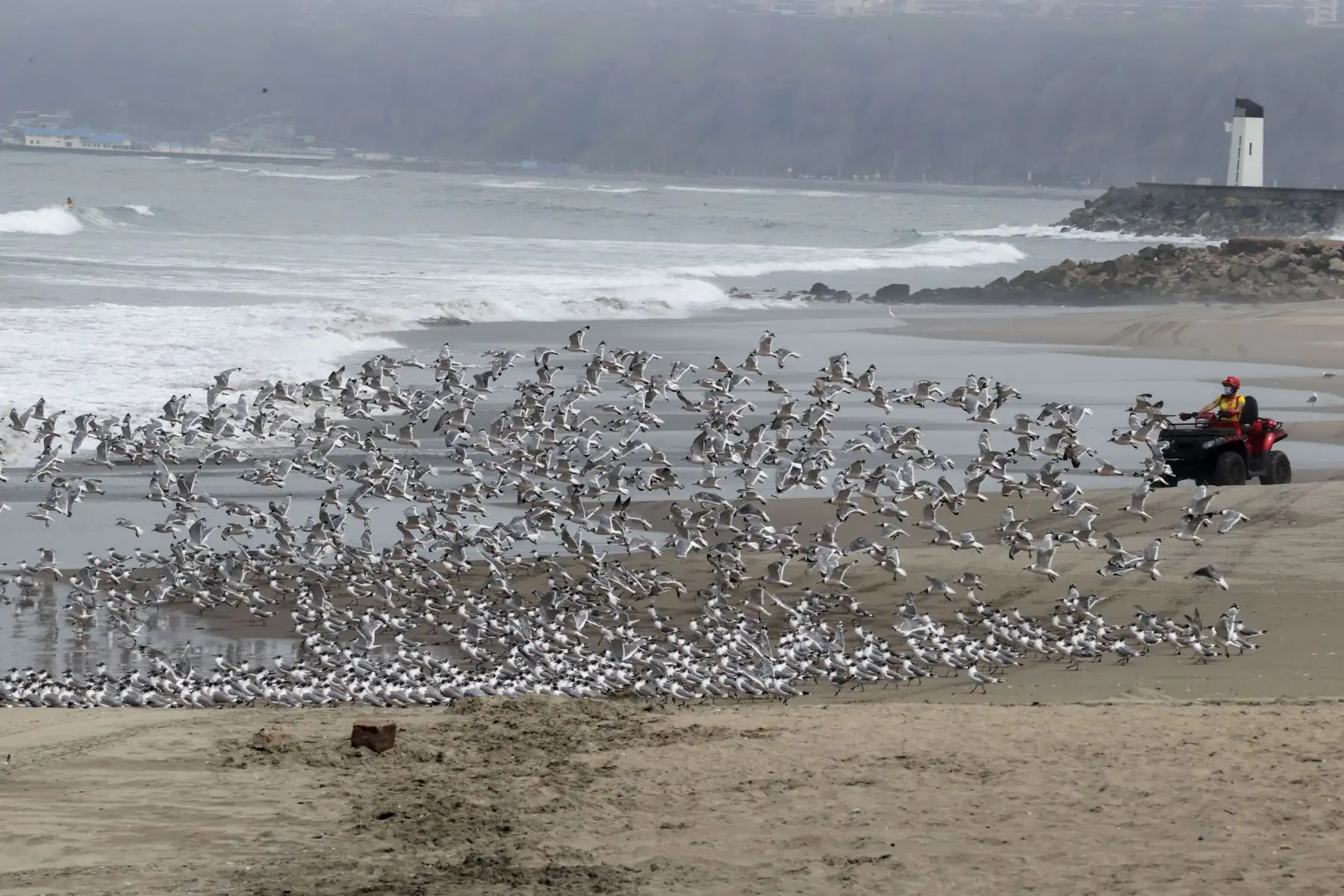 Playas de Lima ya fueron cerradas y y permanecerán así hasta el 1 de enero conforme a las medidas dispuestas por el Gobierno, a fin de evitar posibles contagios de la covid-19. Foto: ANDINA/Vidal Tarqui
