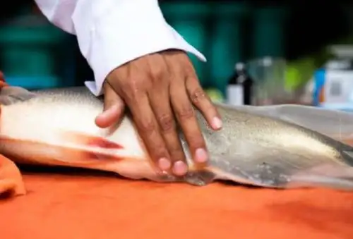 Investigadores del IIAP buscan soluciones ante hallazgo de microplásticos en peces de la Amazonía peruana . ANDINA/Difusión