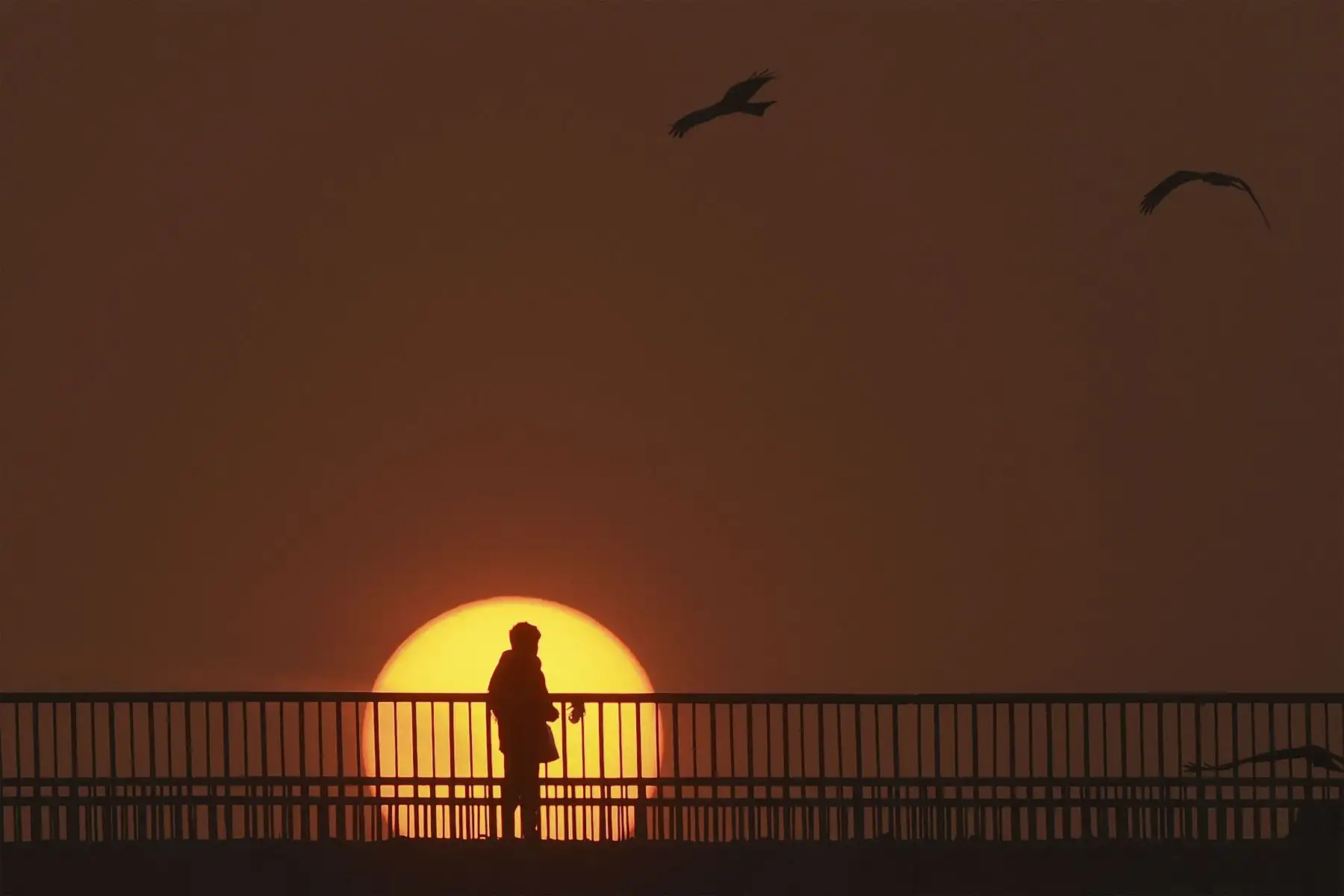 Un joven espera el transporte en un puente durante la última puesta de sol del año en Lahore el 31 de diciembre de 2021. 
Foto: AFP
