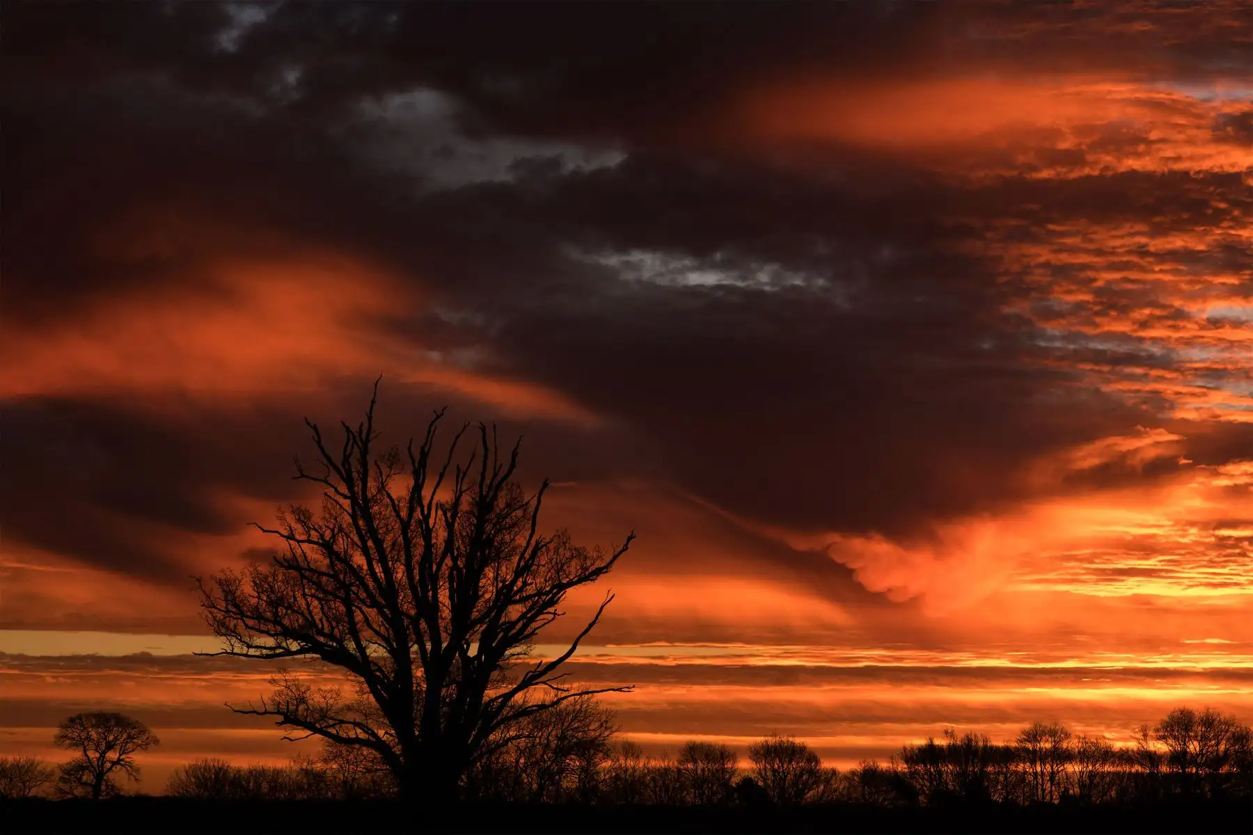 Esta fotografía tomada el 31 de diciembre de 2021 muestra que el sol sale por detrás de unas nubes en Saint-Philbert-sur-Risle, Normandía, noroeste de Francia.
Foto: AFP