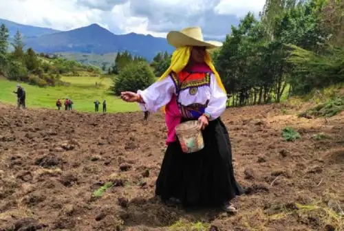 Agro Rural, unidad ejecutora del Ministerio de Agricultura y Riego, lanzó oficialmente la Campaña de Siembra de Pastos y Forrajes 2021-2022 en la región Lambayeque, actividad que favorecerá de manera directa a un total de 192 familias del campo, pertenecientes a las provincias de Ferreñafe y Chiclayo, dedicadas a diferentes actividades ganaderas locales.