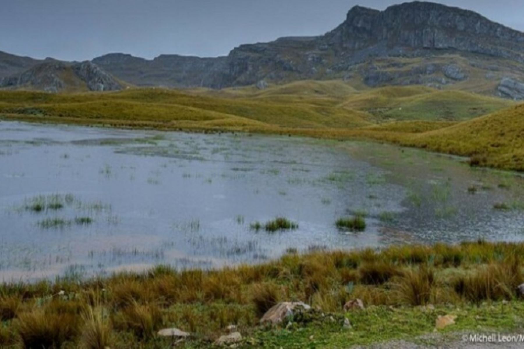 El Ministerio de Ambiente (Minam)  ha identificado un total de 25 cabeceras de cuenca en la región Ayacucho, abarcando una extensión de 16, 266.520. metros cuadrados.
