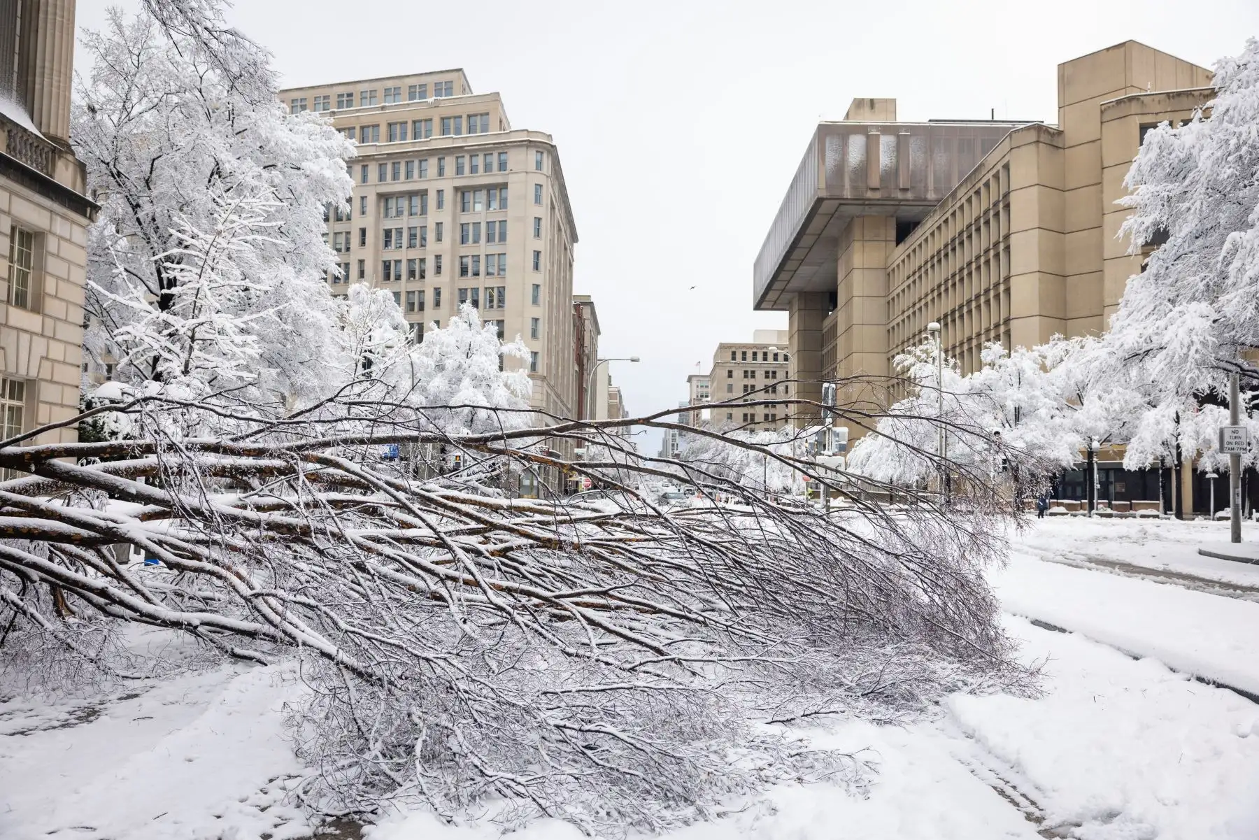 Los árboles caídos cubren la calle 10 fuera del Servicio de Impuestos Internos durante una tormenta de nieve en Washington, DC, EE. UU., El 3 de enero de 2022.
Foto: EFE