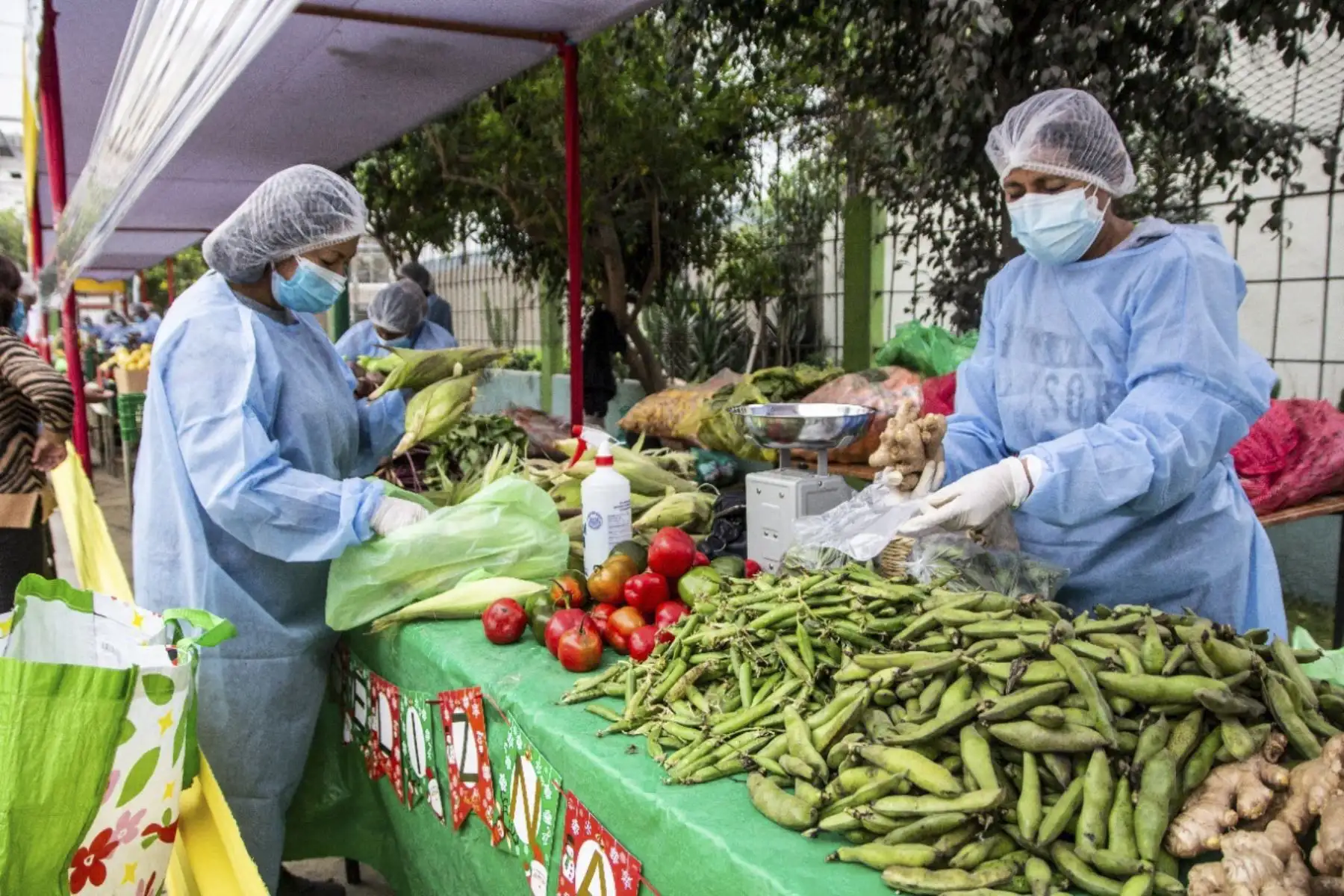 De la Chacra a la Olla logró abastecer a un millón 790, 874 hogares peruanos con alimentos frescos, productos directos para su consumo. ANDINA/ Minagri