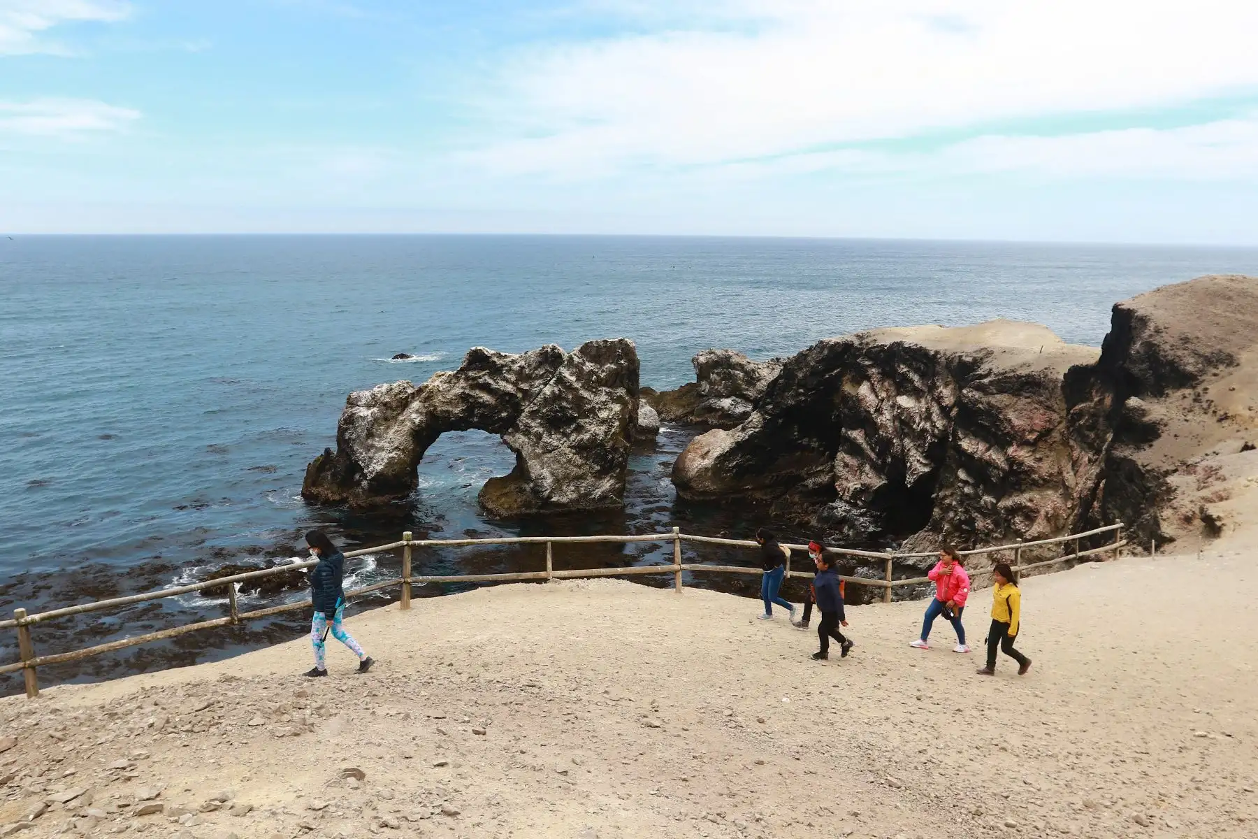 La reserva nacional San Fernando, ubicada en la región Ica, es la única área natural protegida marino-costera con un corredor biológico natural andino-costero (cóndor, zorro y guanaco), que llega hasta el ámbito marino y se convierte en un corredor marino de especies como pingüinos, tortugas, ballenas y lobos marinos. Foto: ANDINA/Braian Reyna