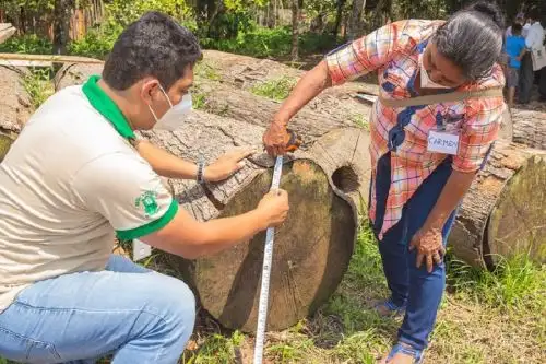 Entre las regiones con mayor participación en los talleres de capacitación del Osinfor durante el 2021 se encuentran Ucayali, Madre de Dios, Loreto y San Martín, departamentos que cuentan con altos números de títulos habilitantes para el aprovechamiento y manejo sostenible de recursos del bosque.