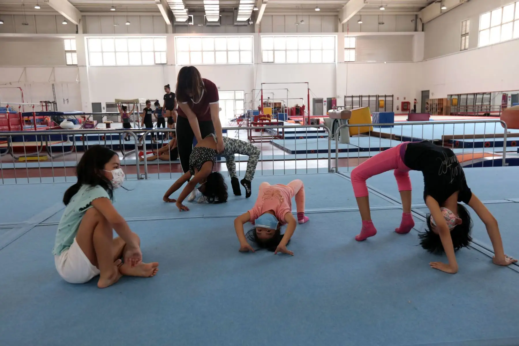 El fuerte sol de Lima y el espíritu deportivo le dieron brillo al inicio de los talleres de verano que se dictan en las diferentes sedes. Niños, adolescentes y adultos viven una experiencia inigualable desde los diferentes recintos construidos para los Juegos Lima 2019.
Foto: ANDINA/ Legado