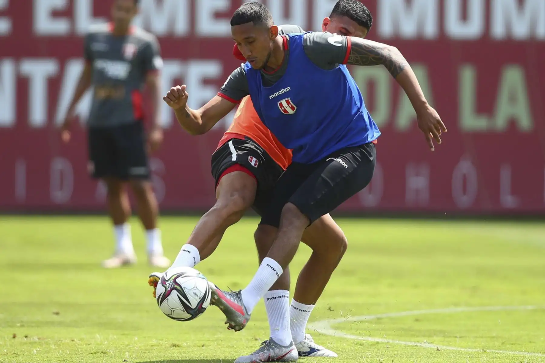 Bajo las órdenes del profesor Ricardo Gareca, la Selección Peruana comenzó los entrenamientos en el campo deportivo de la Videna, con miras a los amistosos internacionales ante Panamá y Jamaica, que servirán de preparación para la próxima fecha doble de las Clasificatorias Sudamericanas al Mundial Qatar 2022.
Foto: ANDINA /FPF