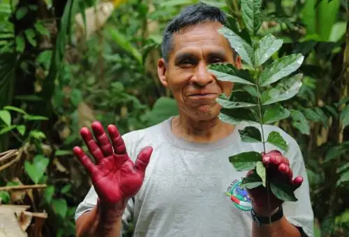 El Ministerio del Ambiente reconoció cinco nuevas áreas de conservación privada en las regiones de Cusco y Madre de Dios, que son las primeras del año 2022.