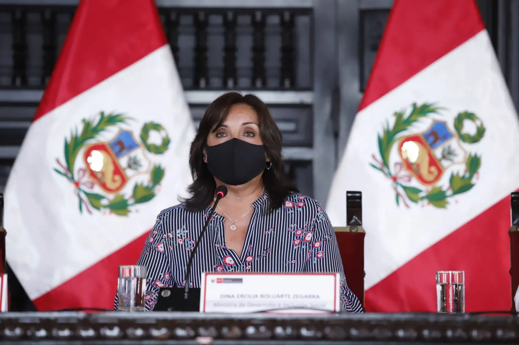 Foto: ANDINA/difusión.