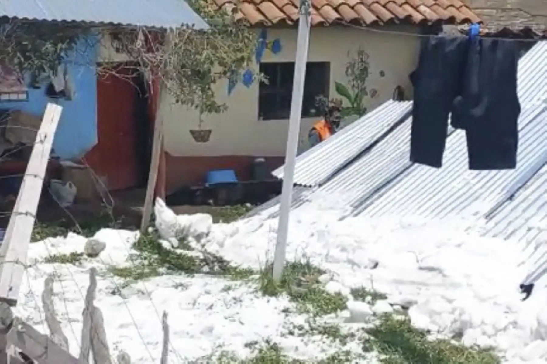 Los techos de varios inmuebles de construcción rústica cedieron debido al peso del hielo acumulado. Foto: ANDINA/Cortesía Pedro Tinoco.