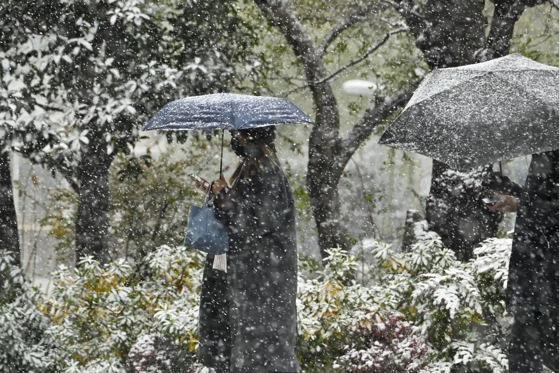 Peatones caminan en la nieve en Tokio. Foto: AFP