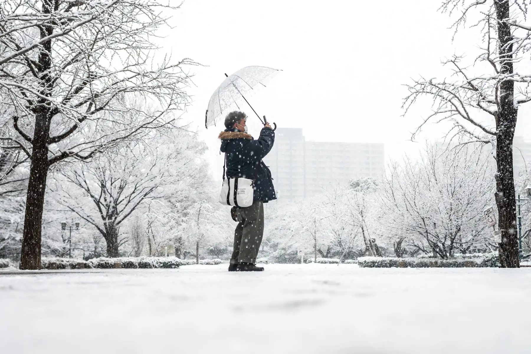 Un hombre toma fotografías en el parque Hamacho en Tokio. Foto: AFP