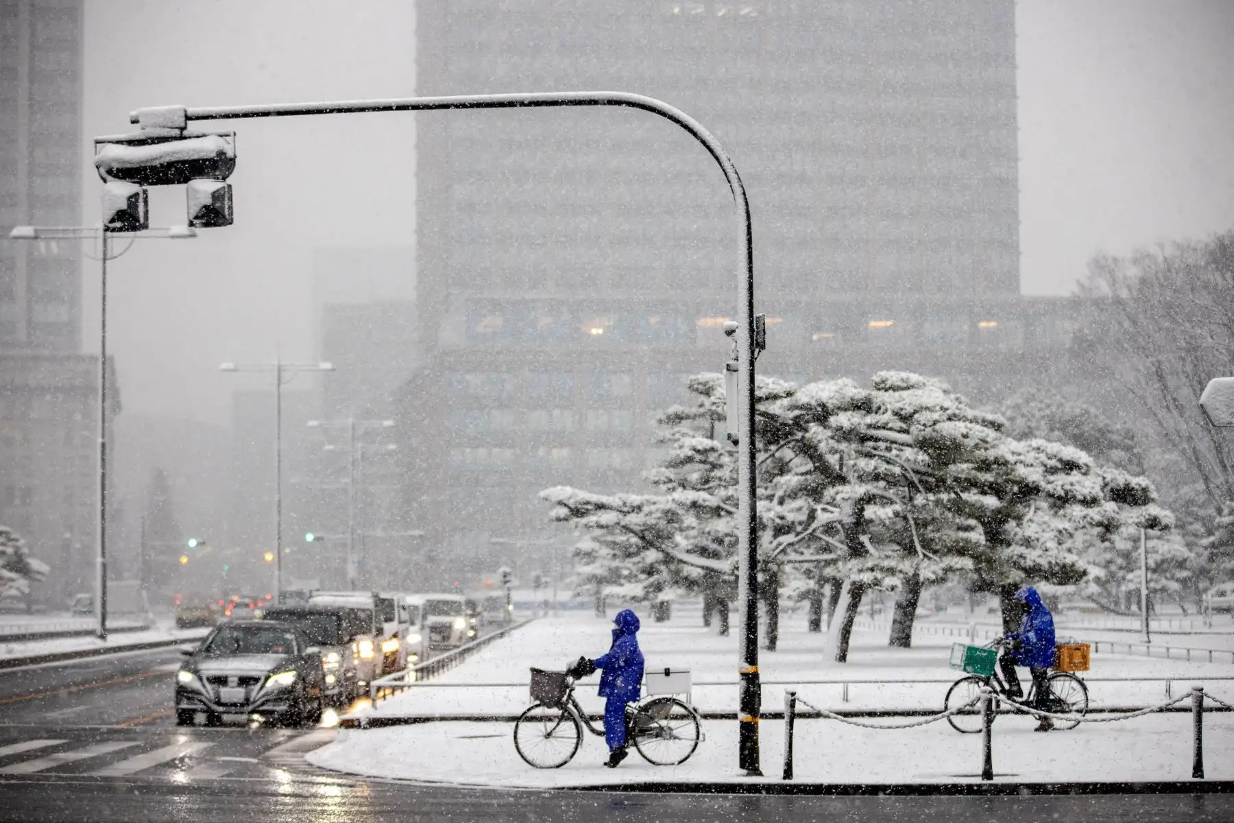 La gente anda en bicicleta por una calle nevada de Tokio. Foto: AFP