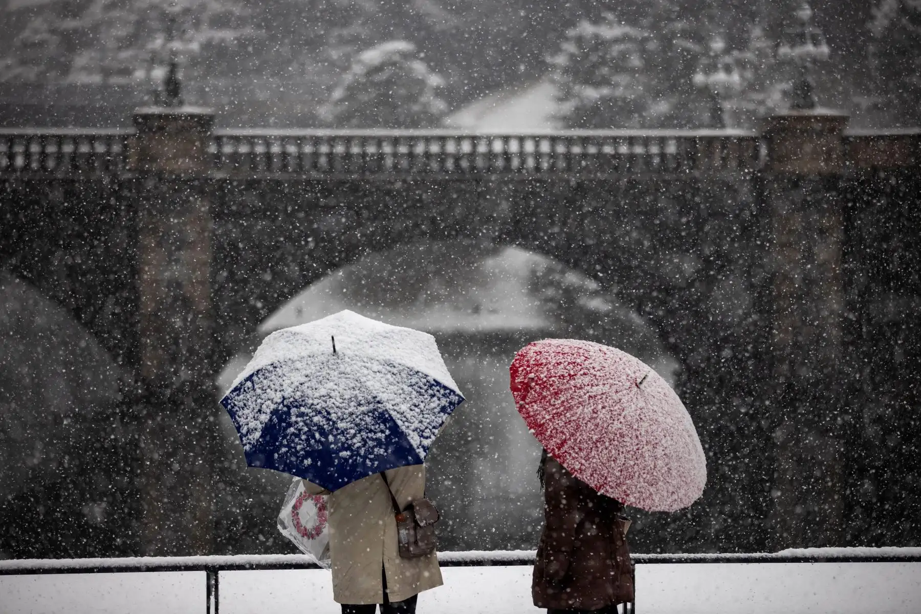 Una pareja sostiene su paraguas mientras cae nieve cerca del Palacio Imperial en Tokio. Foto: AFP