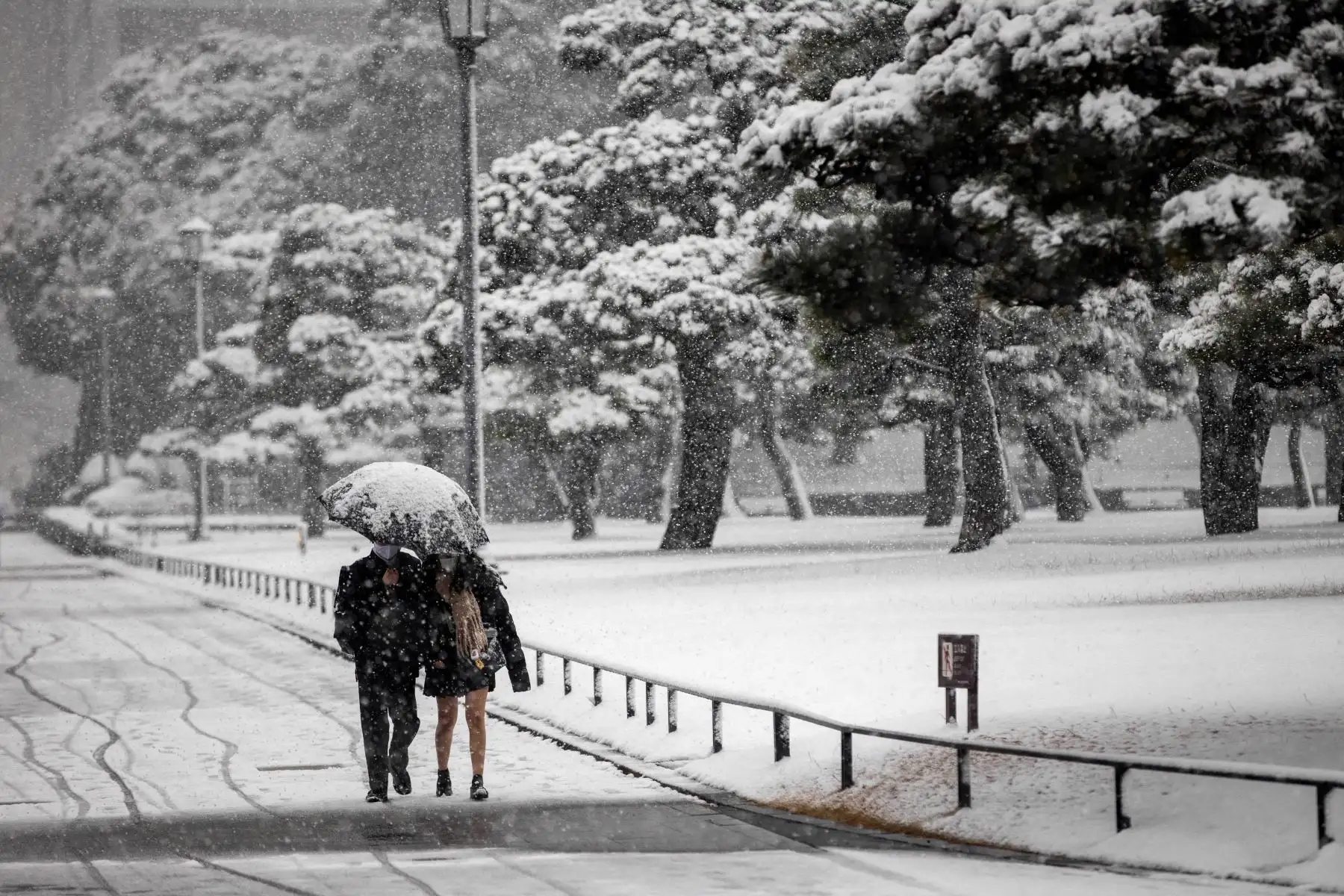 La gente camina por un pavimento cubierto de nieve en Tokio. Foto: AFP