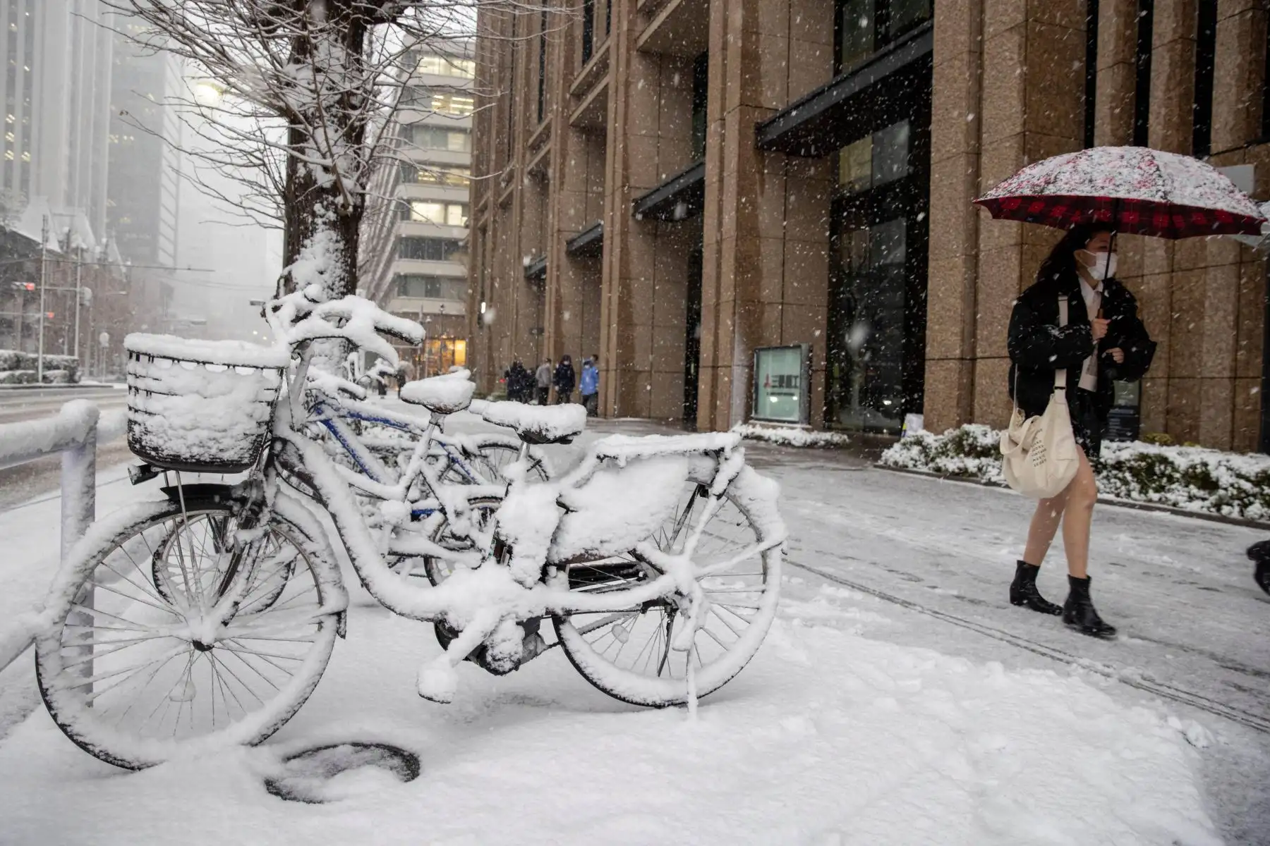 Un peatón pasa junto a bicicletas cubiertas de nieve en Tokio. Foto: AFP