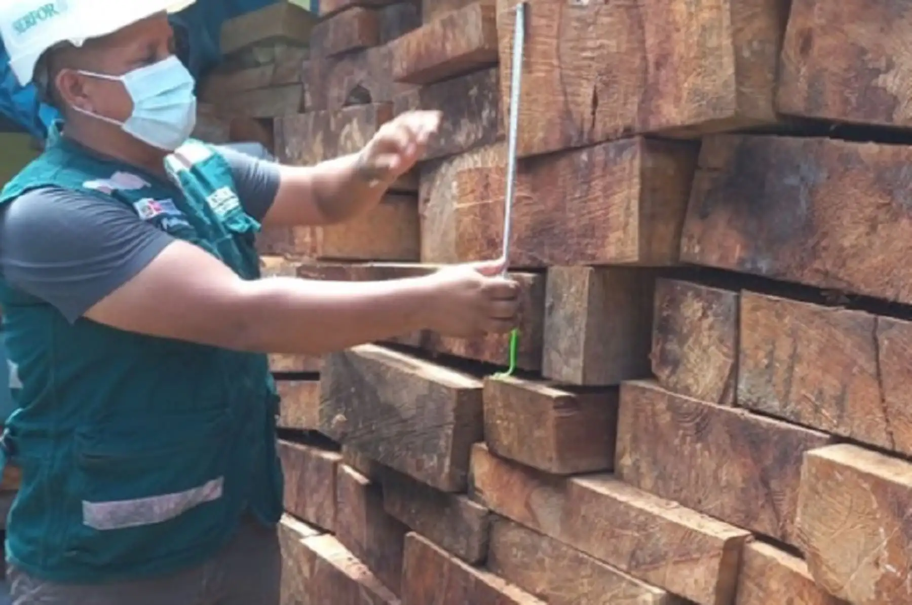 El cargamento de madera incautado son de las especies higuerilla con un total de 9 317 pies tablares y panguana con 751 pies tablares, que tenían como destino la ciudad de Lima y provenía de Puerto Inca, Huánuco.