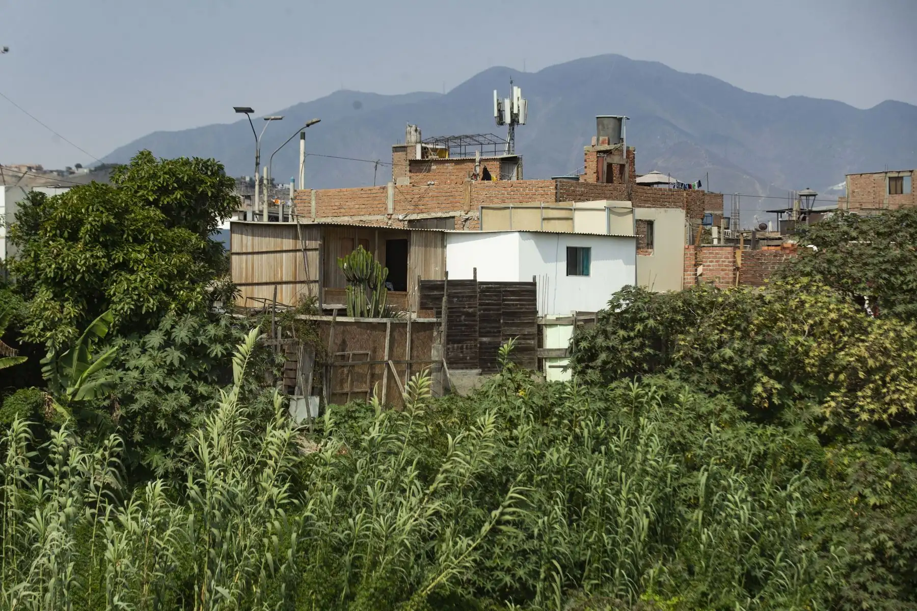 Viviendas en riesgo de colapso por estar ubicadas en la ribera Del Río Rímac. Las construcciones en Lima tienen mayor o menor vulnerabilidad ante los sismos. Foto: ANDINA/Carla Patiño