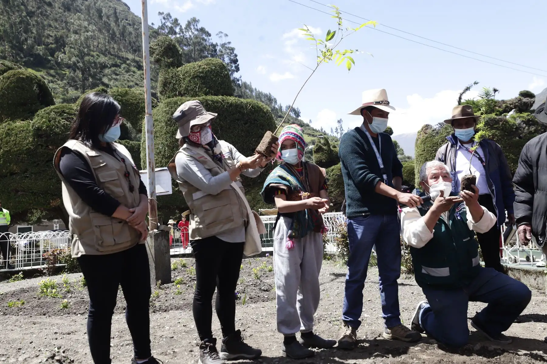 La ministra de Cultura, Gisela Ortiz, participó de la faena de plantación de quenuales para la siembra de agua en el territorio de la Comunidad Campesina de Aquia, ubicada en la provincia de Bolognesi, región Áncash. Foto: Mincul