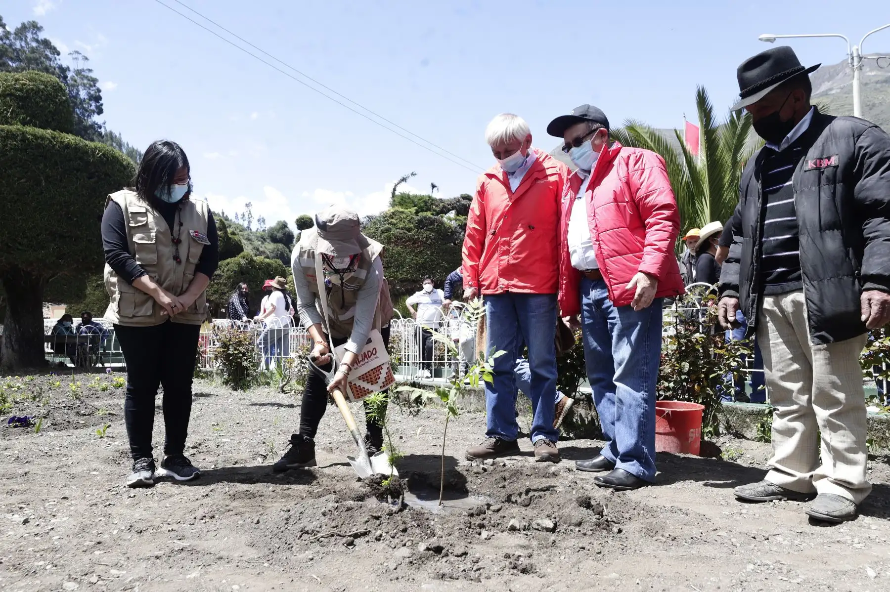 La ministra de Cultura, Gisela Ortiz, participó de la faena de plantación de quenuales para la siembra de agua en el territorio de la Comunidad Campesina de Aquia, ubicada en la provincia de Bolognesi, región Áncash. Foto: Mincul
