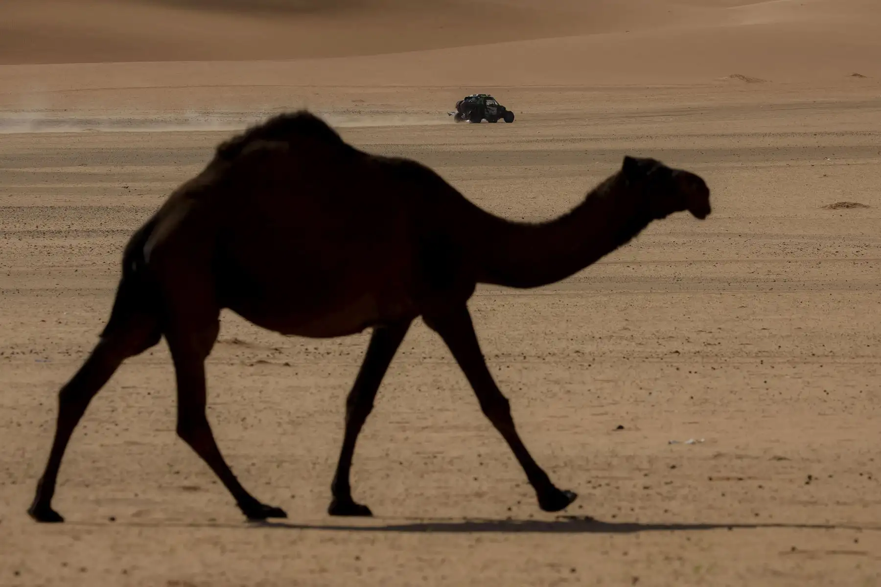 El piloto Gaspard Destailleur y su copiloto Jean-François Destailleur, durante la séptima etapa del Rally Dakar 2022 entre Riad y Al Dawadimi, en Arabia Saudí. Foto: EFE