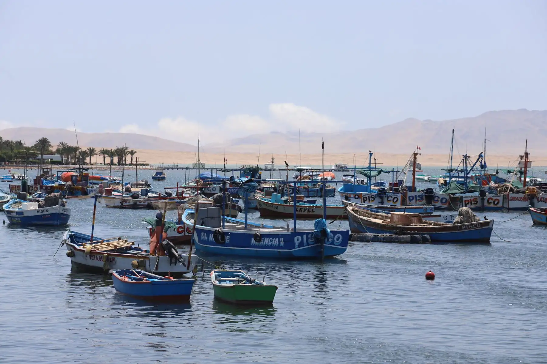 El Ministro de Comercio Exterior y Turismo, Roberto Sánchez, verifica el proyecto del muelle turístico en La Puntilla, Paracas junto al Congresista de la República Jorge Marticorena, el Gobernador Regional de Ica, Javier Gallegos, y la Alcaldesa de Paracas Rosario Ramírez, todo ello con la finalidad de trabajar de cara a su normal funcionamiento, en beneficio del turismo. Foto: Mincetur