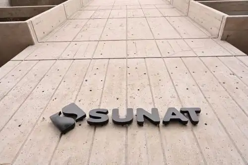Superintendencia Nacional de Aduanas y de Administración Tributaria (Sunat).