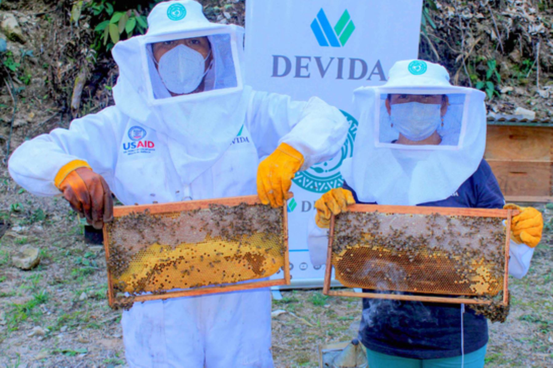 La primera cosecha de miel se tendrá en seis meses y ascenderá a alrededor de 86,400 kilos. Foto: ANDINA/Devida.
