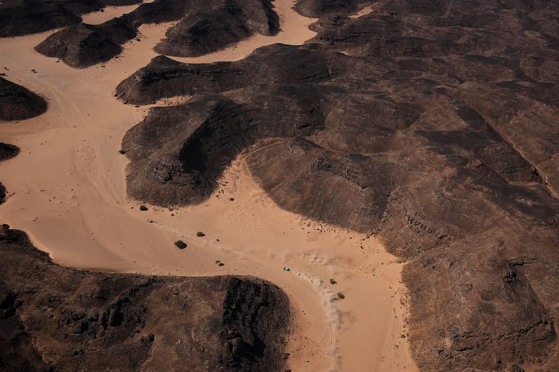 El camionero holandés Gert Huzink junto con sus copilotos Rob Buursen y Martin Roesink compiten durante la Etapa 9 del Dakar 2022 alrededor de Wadi Ad Dawasir en Arabia Saudita. Foto: AFP