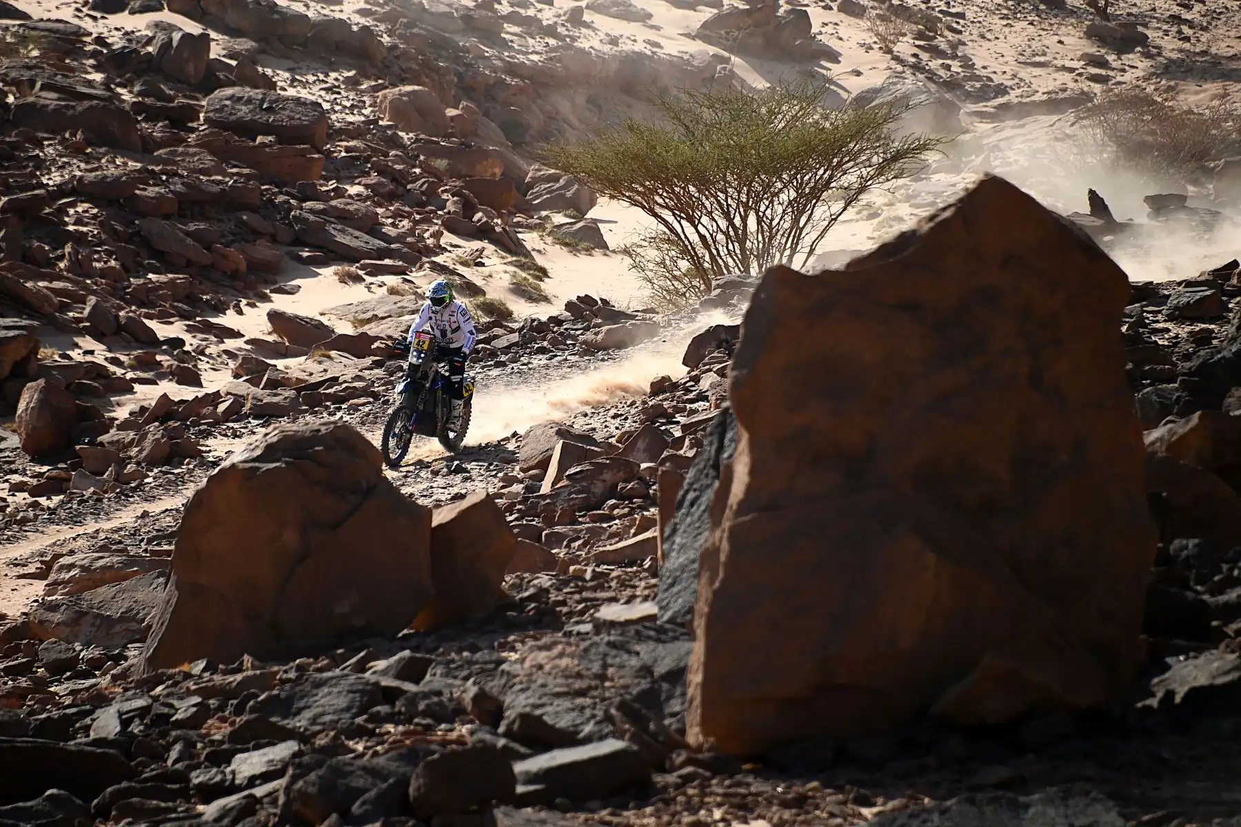El motociclista francés Adrien Van Beveren conduce su Yamaha durante la Etapa 9 del Dakar 2022 alrededor de Wadi Ad Dawasir en Arabia Saudita.
Foto:  AFP