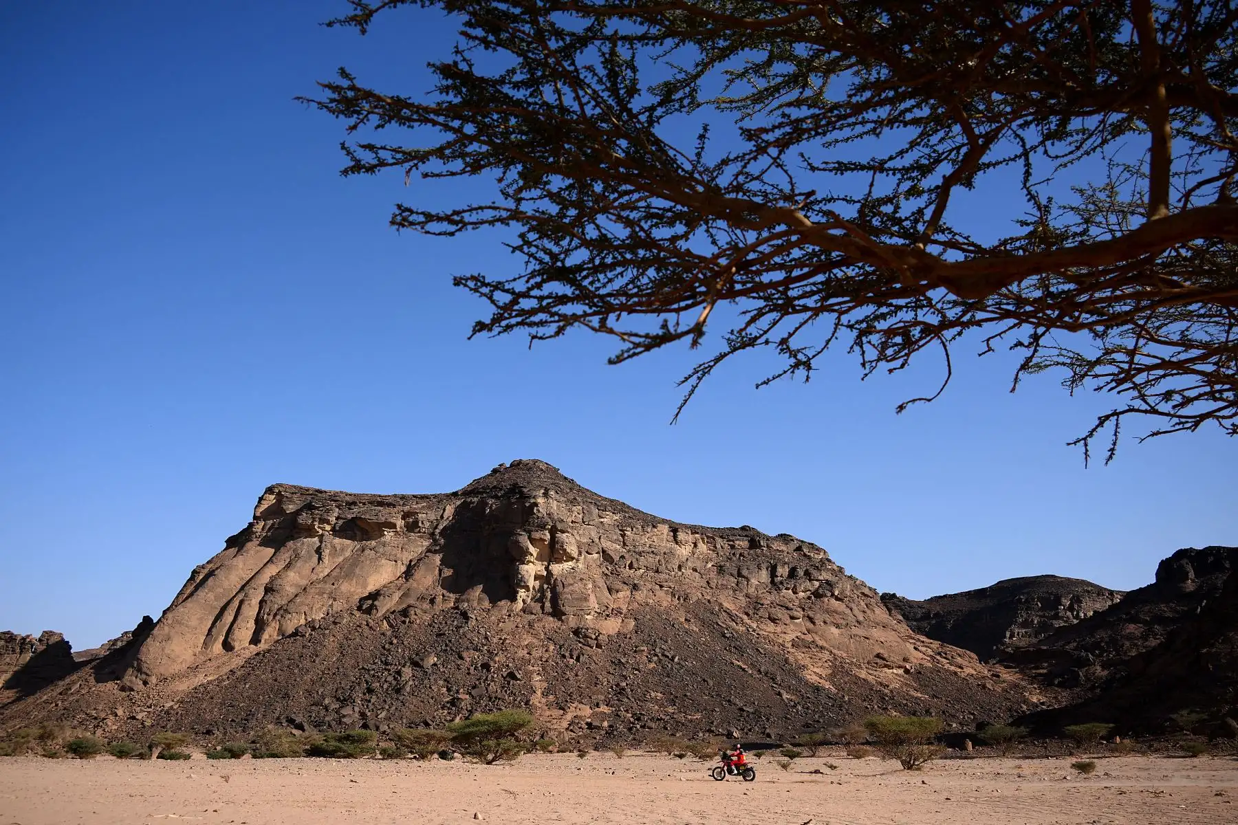 El motociclista argentino Kevin Benavides conduce su Ktm durante la Etapa 9 del Dakar 2022 alrededor de Wadi Ad Dawasir en Arabia Saudita. Foto: AFP