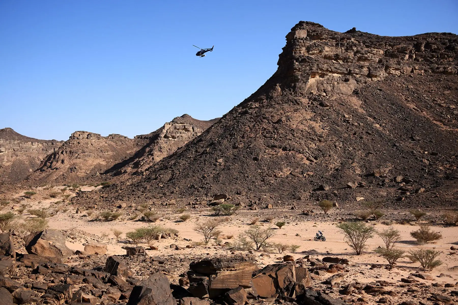El motociclista argentino Luciano Benavides conduce su Husqvarna durante la Etapa 9 del Dakar 2022 alrededor de Wadi Ad Dawasir en Arabia Saudita. 
Foto: AFP