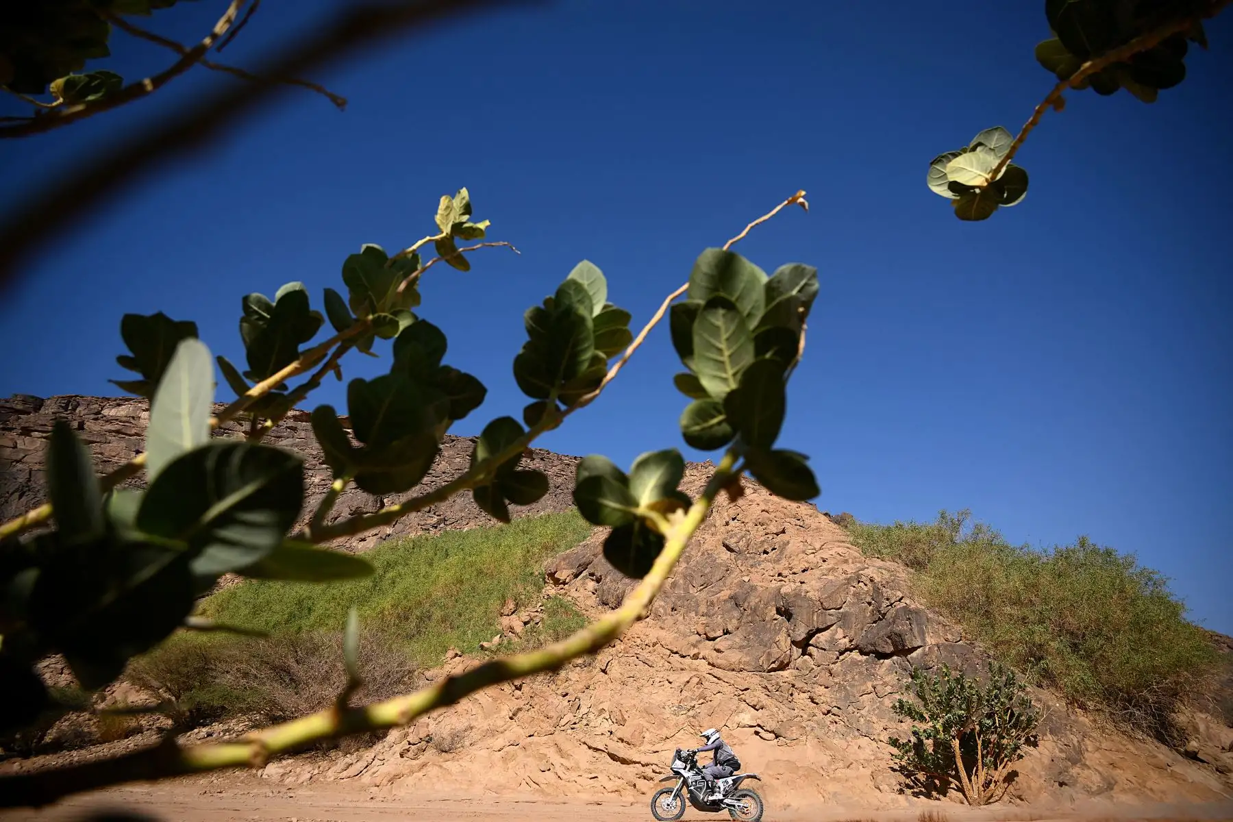 El ciclista polaco Konrad Dabrowski compite durante la Etapa 10 del Rally Dakar 2022 entre Wadi Ad Dawasir y Bisha en Arabia Saudita. Foto: AFP