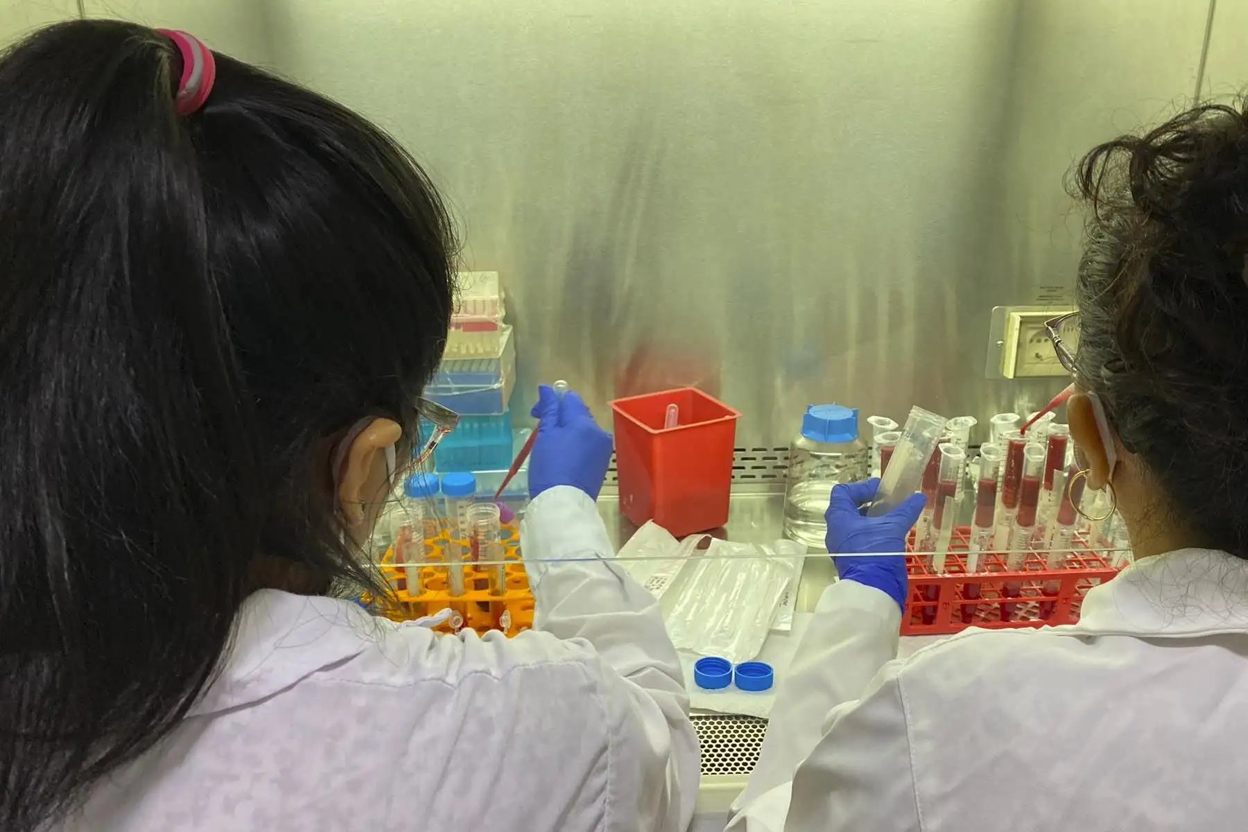 La investigadora peruana Elizabeth Villasis fue premiada el año pasado en el Primer Congreso Virtual de Mujeres en Malaria.