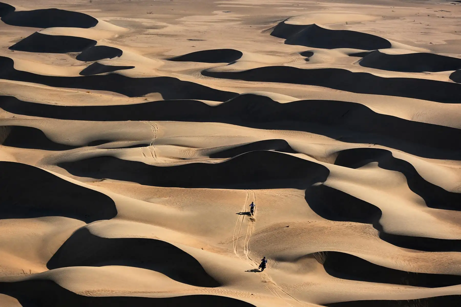 El motociclista francés Adrien Van Beveren, impulsa su Yamaha frente al motociclista estadounidense Andrew Short durante la etapa 11 del Dakar 2022 en Bisha, Arabia Saudita. Foto: AFP
