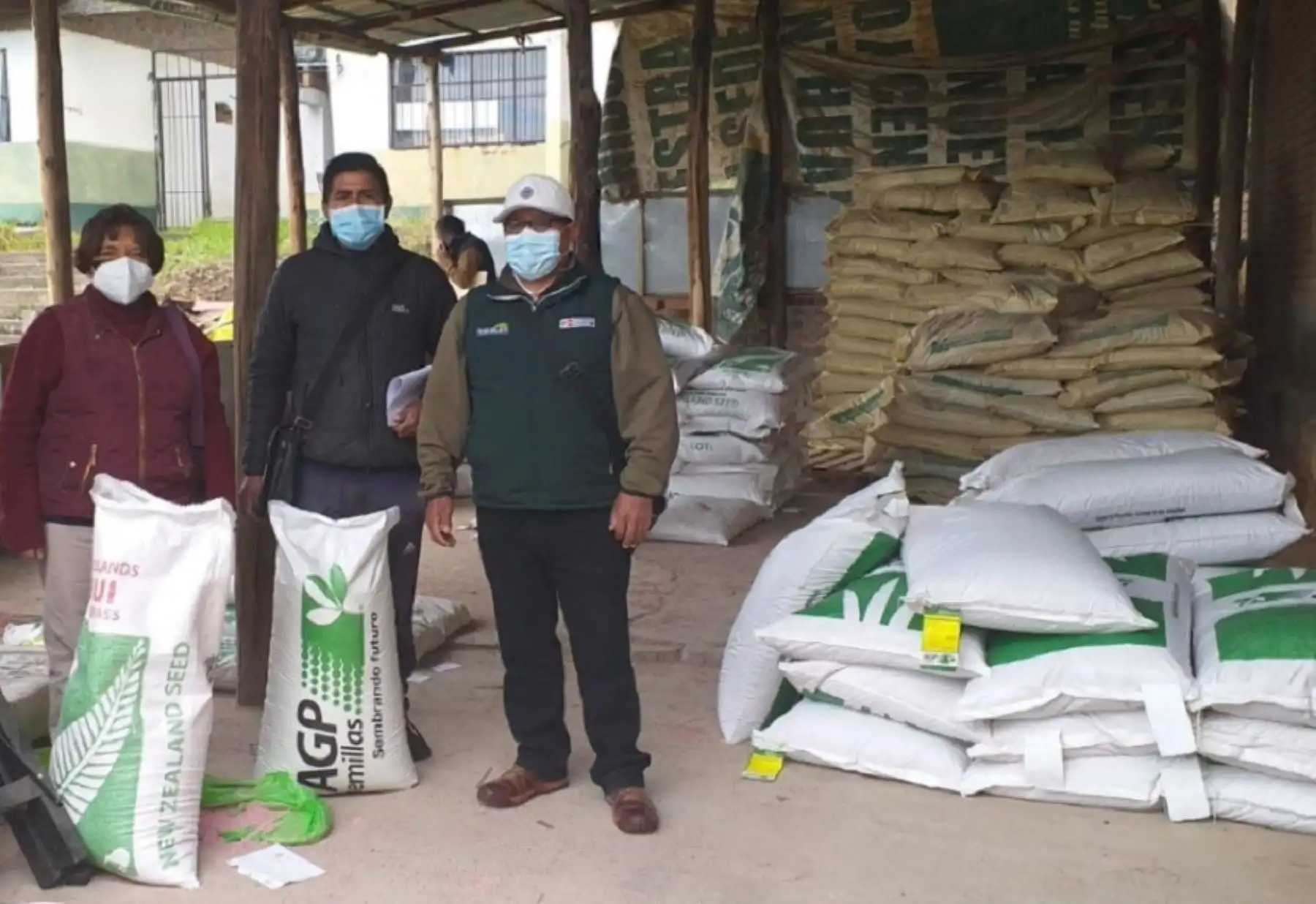 Agro Rural, unidad ejecutora del Ministerio de Desarrollo Agrario y Riego (Midagri), realizó el lanzamiento oficial de la Campaña de Siembra de Pastos y Forrajes 2021-2022 en la región Junín, lo que permitirá a los beneficiarios desarrollar actividades ganaderas sostenibles y afrontar oportunamente la época de heladas.