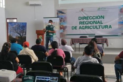 Serfor capacitó a productores forestales de Huaura en manejo de recursos no maderables