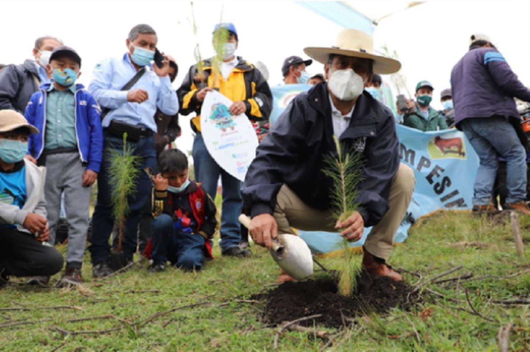 Cajamarca: Gobierno Regional sembrará 1 millón de árboles en las 13 provincias
