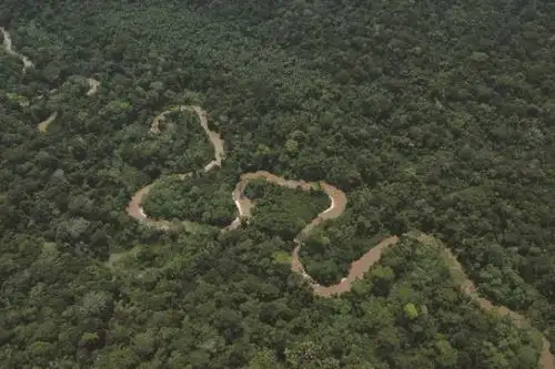 El objetivo de estos lineamientos es sentar las bases para la implementación de REDD+ y la gestión de sus unidades de reducción de emisiones en el Perú. Foto: ANDINA/Minam.